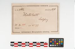 Etikett zu Leichenbrand (NHMW-PRAE-002242)